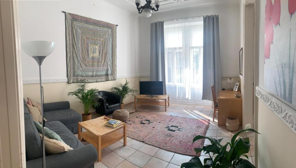 Apartment Almassy View